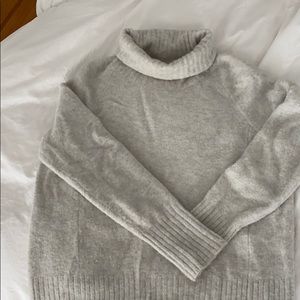 Aritzia Grey Turtleneck Sweater